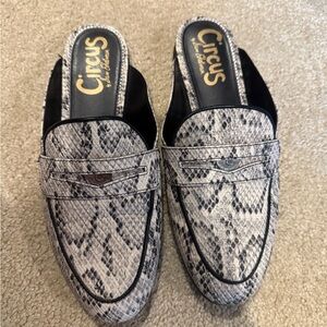 Circus by Sam Edelman Gray Snake Print Woman’s mules